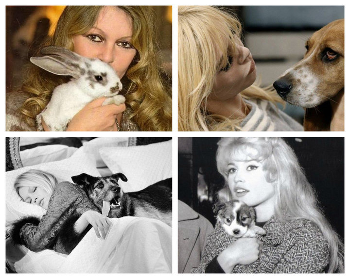 Фото: fondationbrigittebardot.fr / C 1973 года актриса борется за права животных. Коллаж: TUT.by