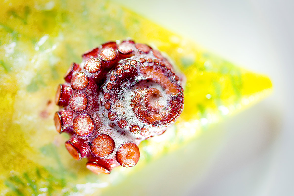 Bisato octopus pasta 1 lr