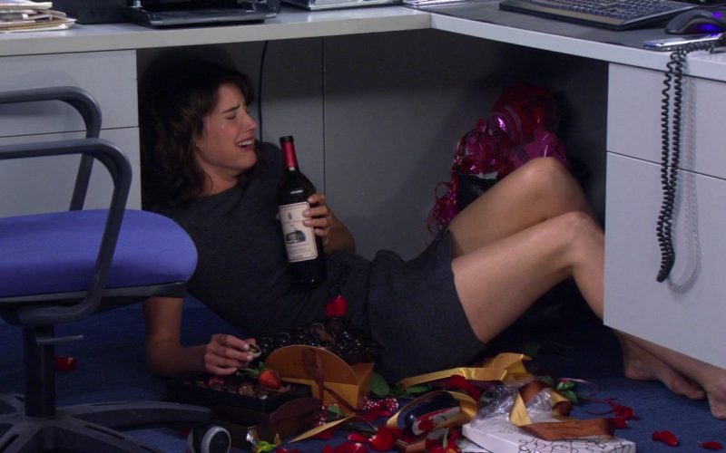 Robin how i met your mother drinking stressed under desk 800x500